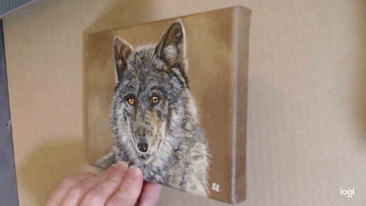 7 x 5 inch Wolf Study Original Acrylic Painting