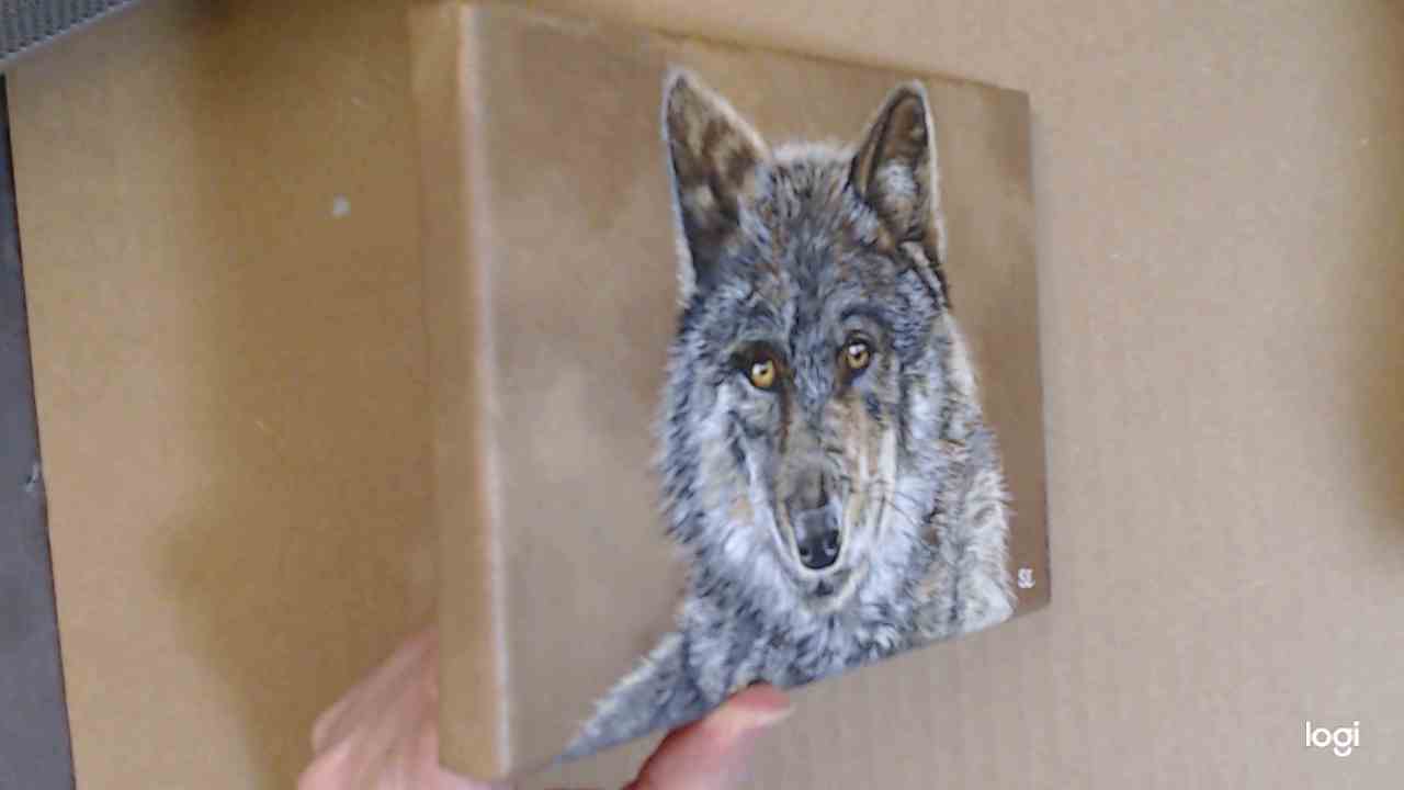 7 x 5 inch Wolf Study Original Acrylic Painting