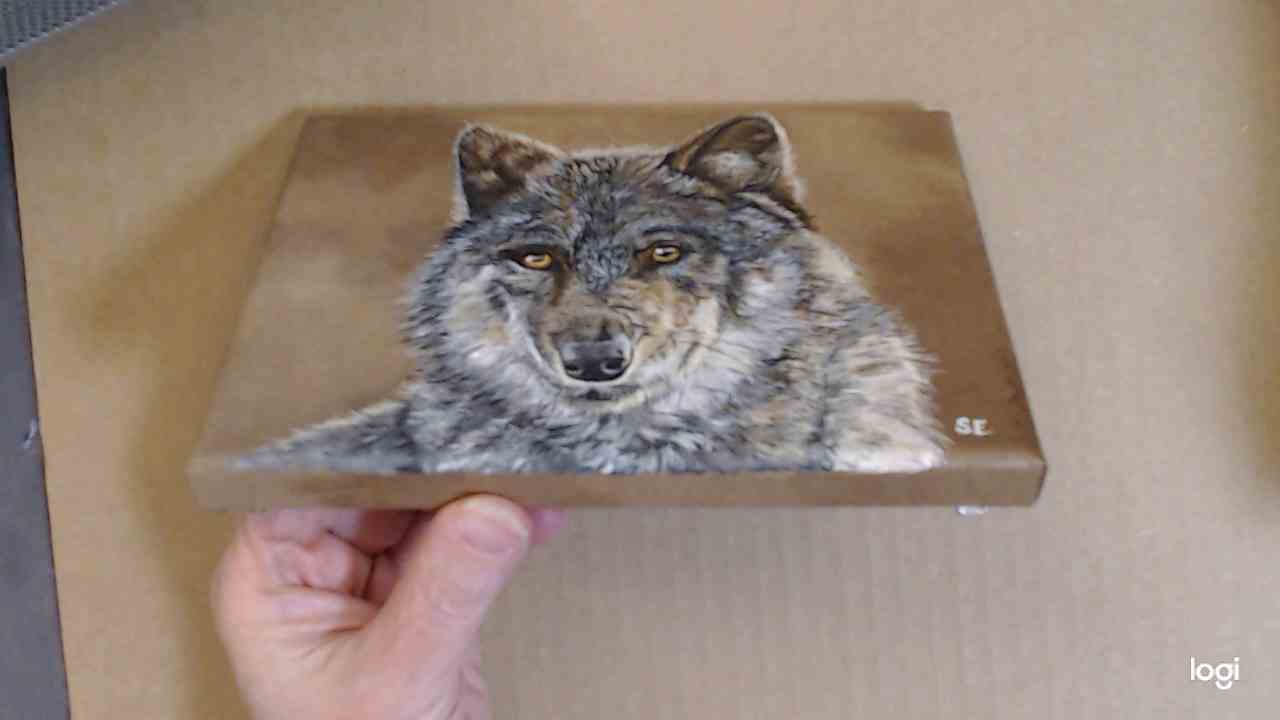 7 x 5 inch Wolf Study Original Acrylic Painting