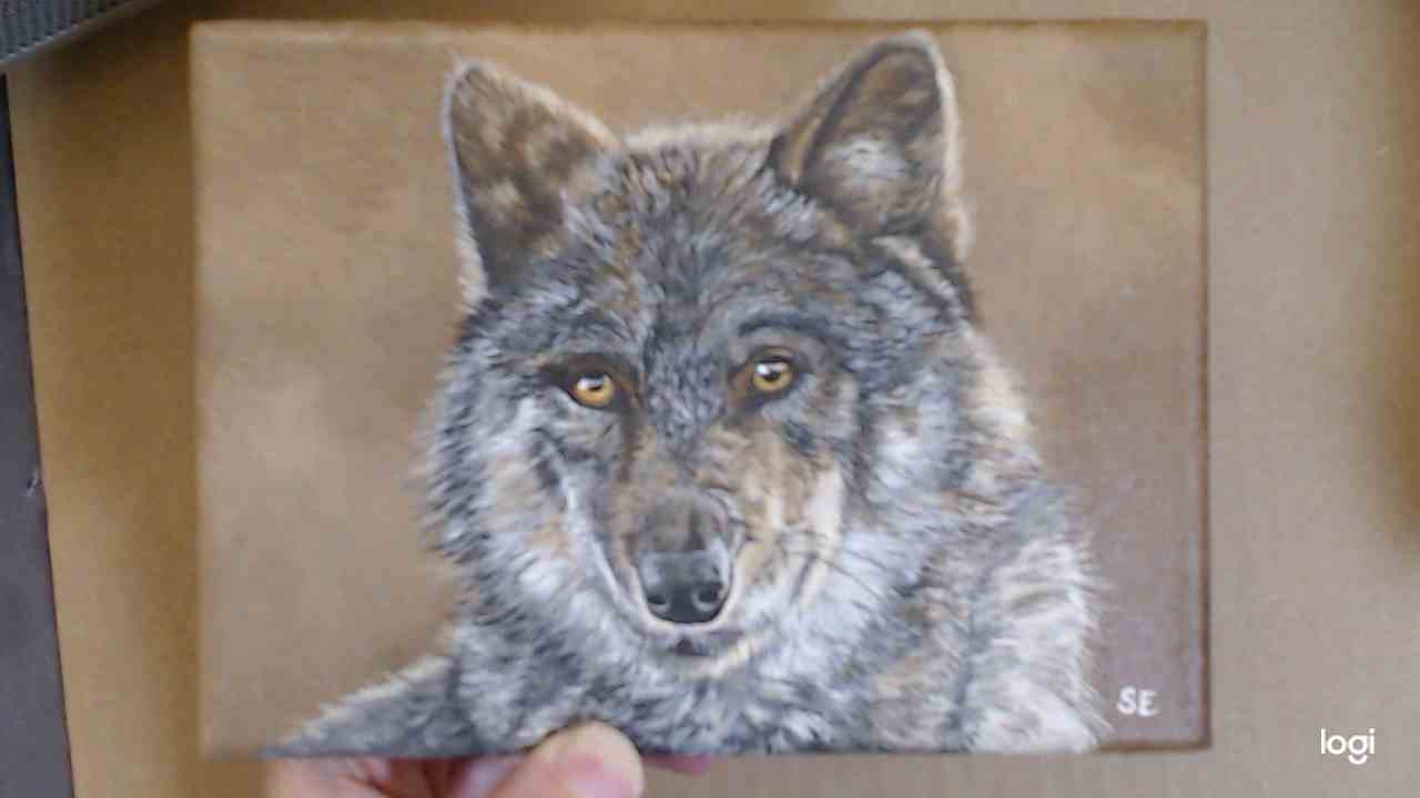 7 x 5 inch Wolf Study Original Acrylic Painting