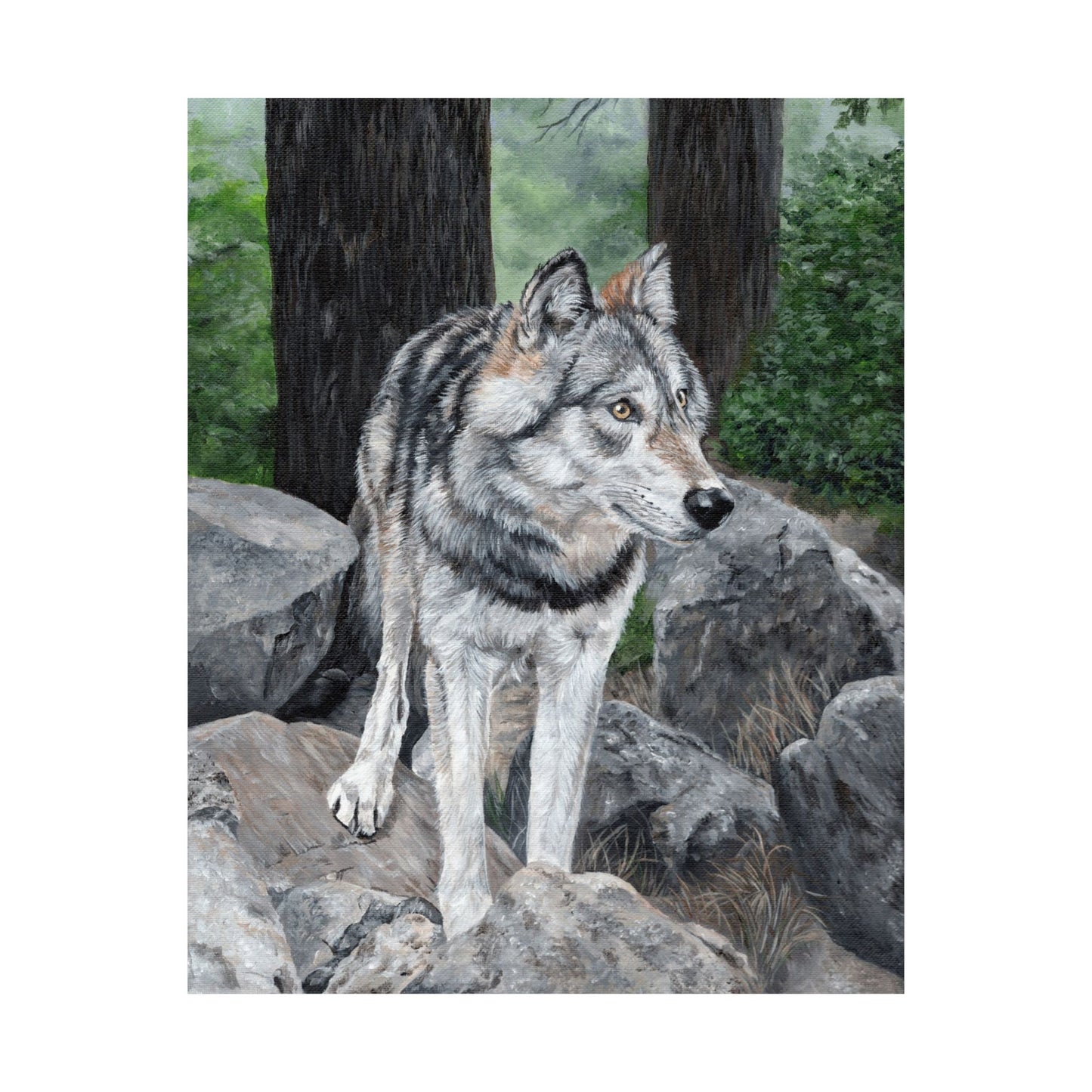 Wolf Portrait Matte Vertical Poster — Realistic Wildlife Wall Art