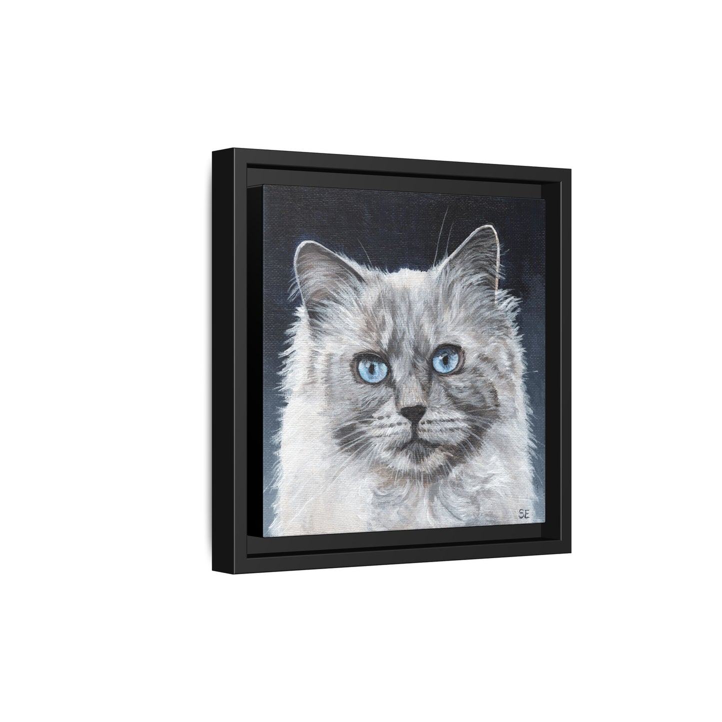 Framed Matte Canvas – Blue-Eyed Ragdoll Cat Portrait