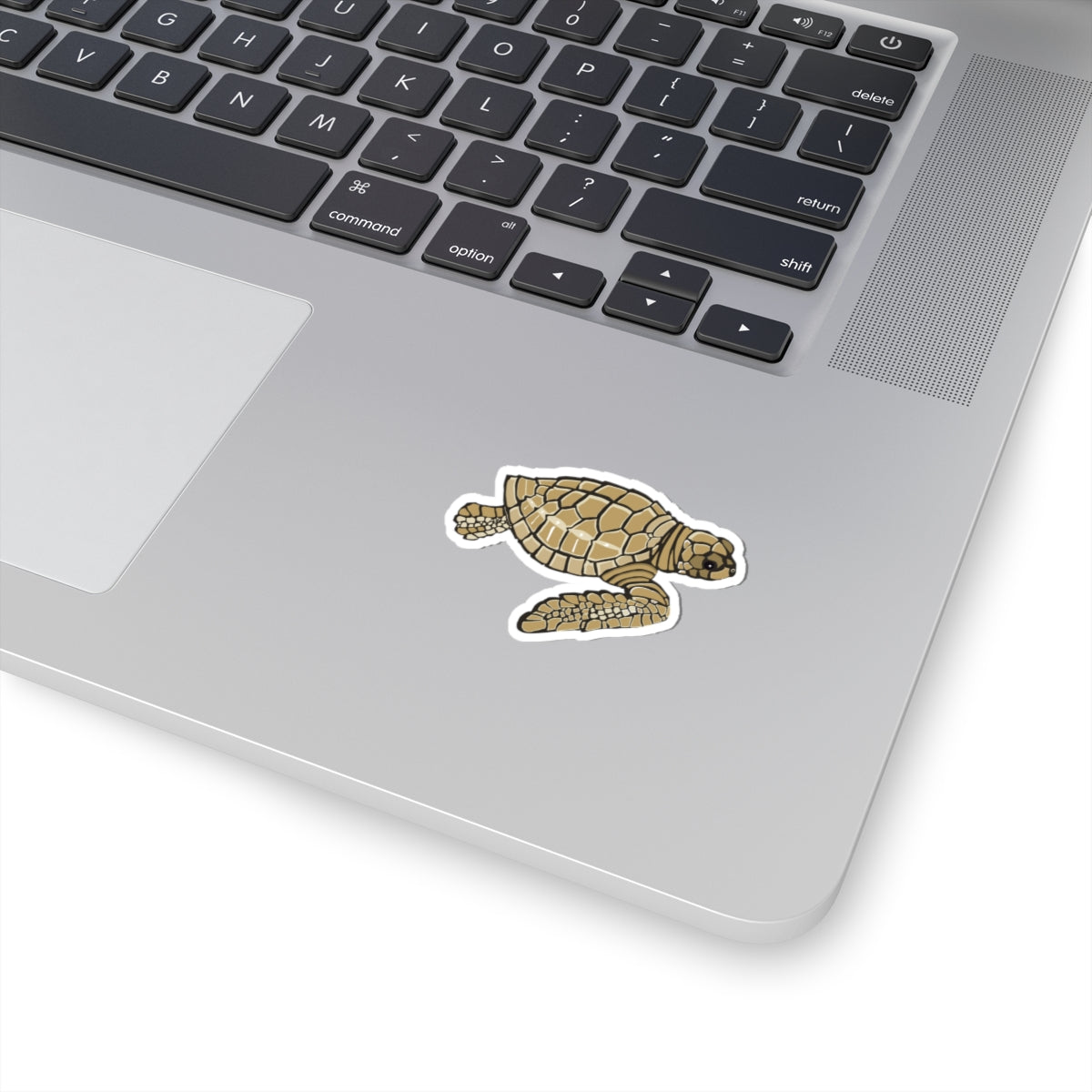 Baby Loggerhead Sea Turtle Kiss-Cut Stickers