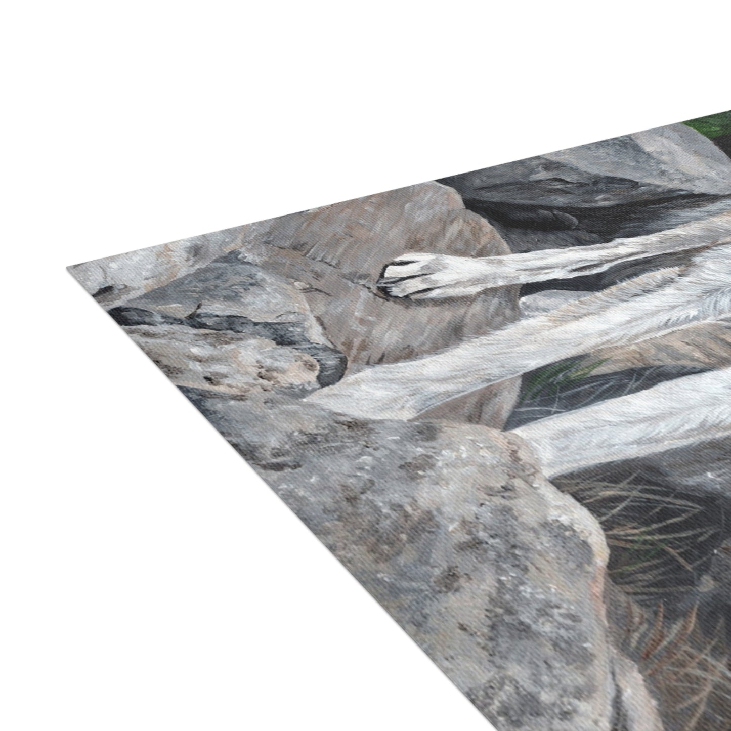 Wolf on Rocks Postcard Bundles (envelopes included)