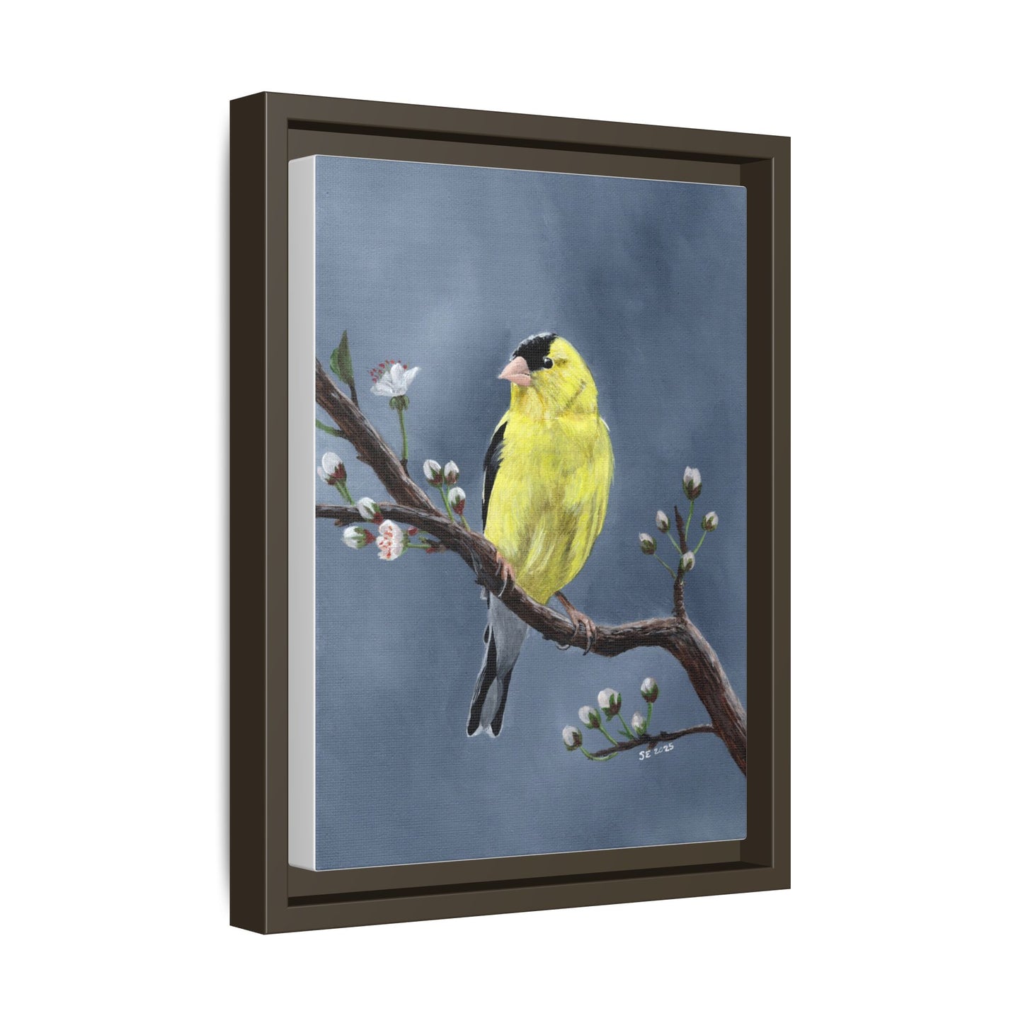 Framed Canvas Print — Yellow Finch on Branch Wall Art