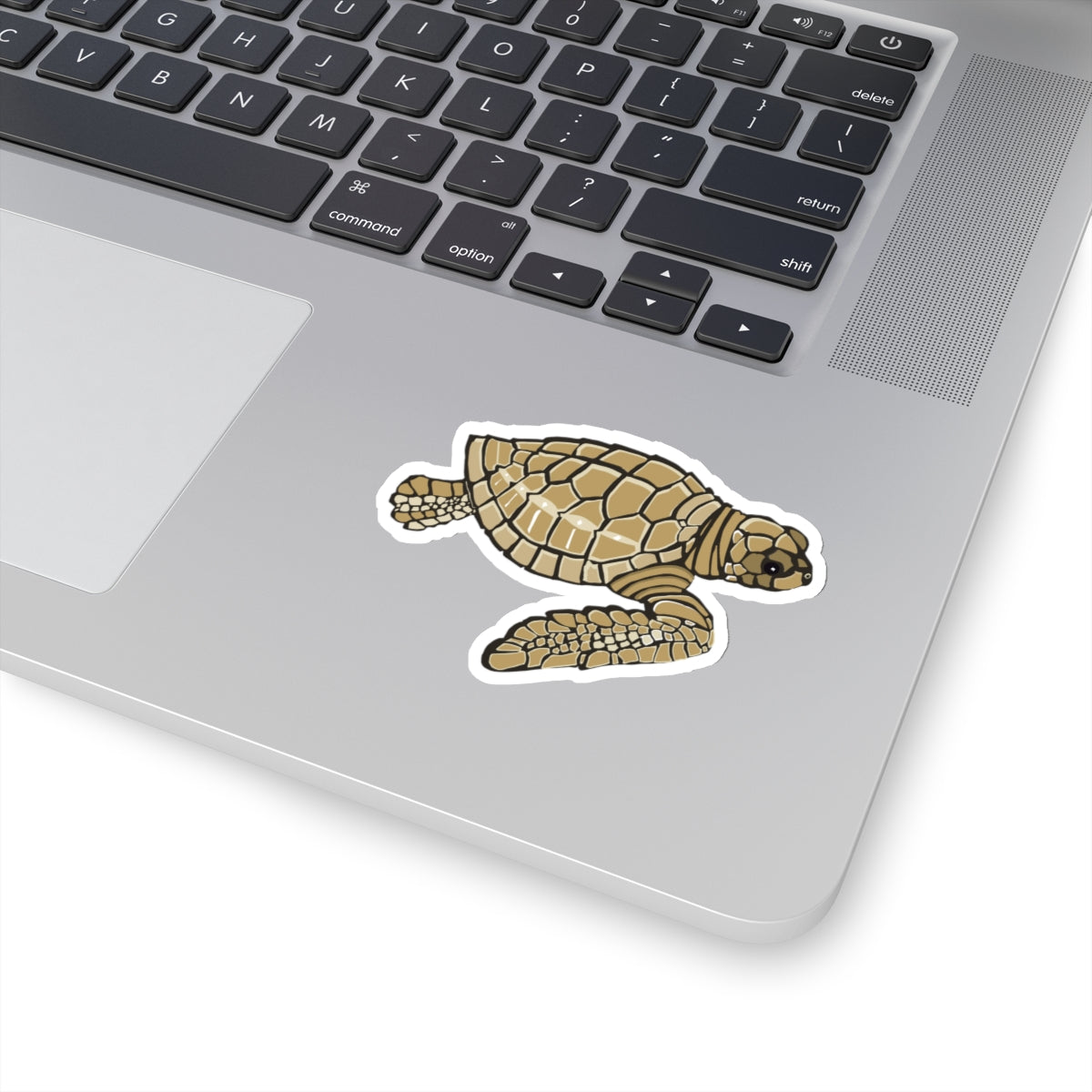 Baby Loggerhead Sea Turtle Kiss-Cut Stickers