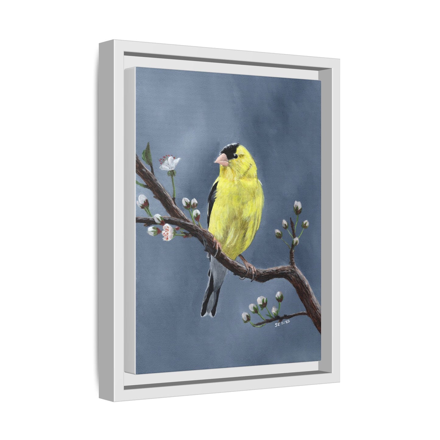 Framed Canvas Print — Yellow Finch on Branch Wall Art