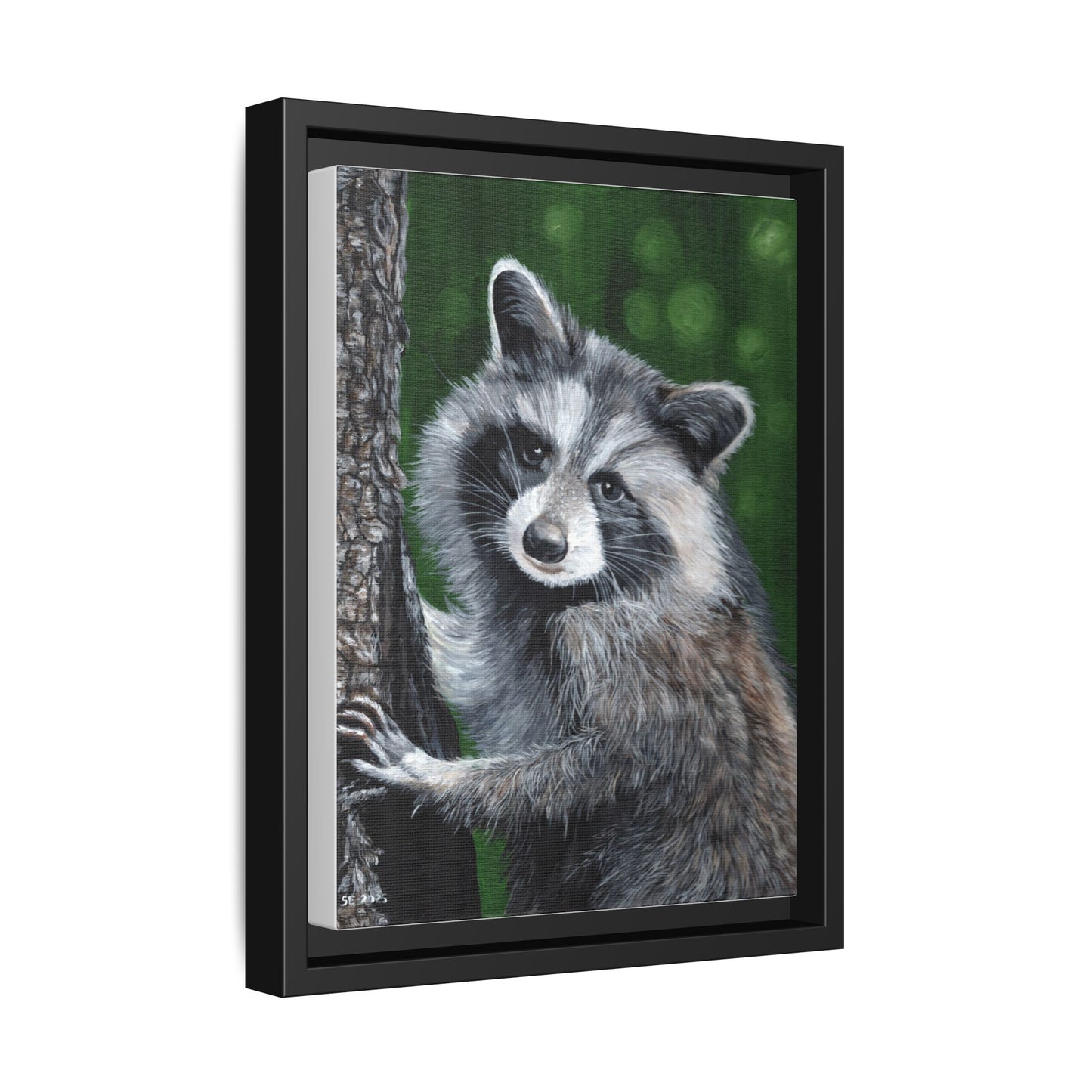 Framed Raccoon Canvas Art Print – Woodland Wildlife Wall Decor