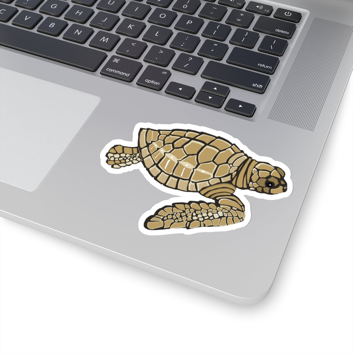 Baby Loggerhead Sea Turtle Kiss-Cut Stickers