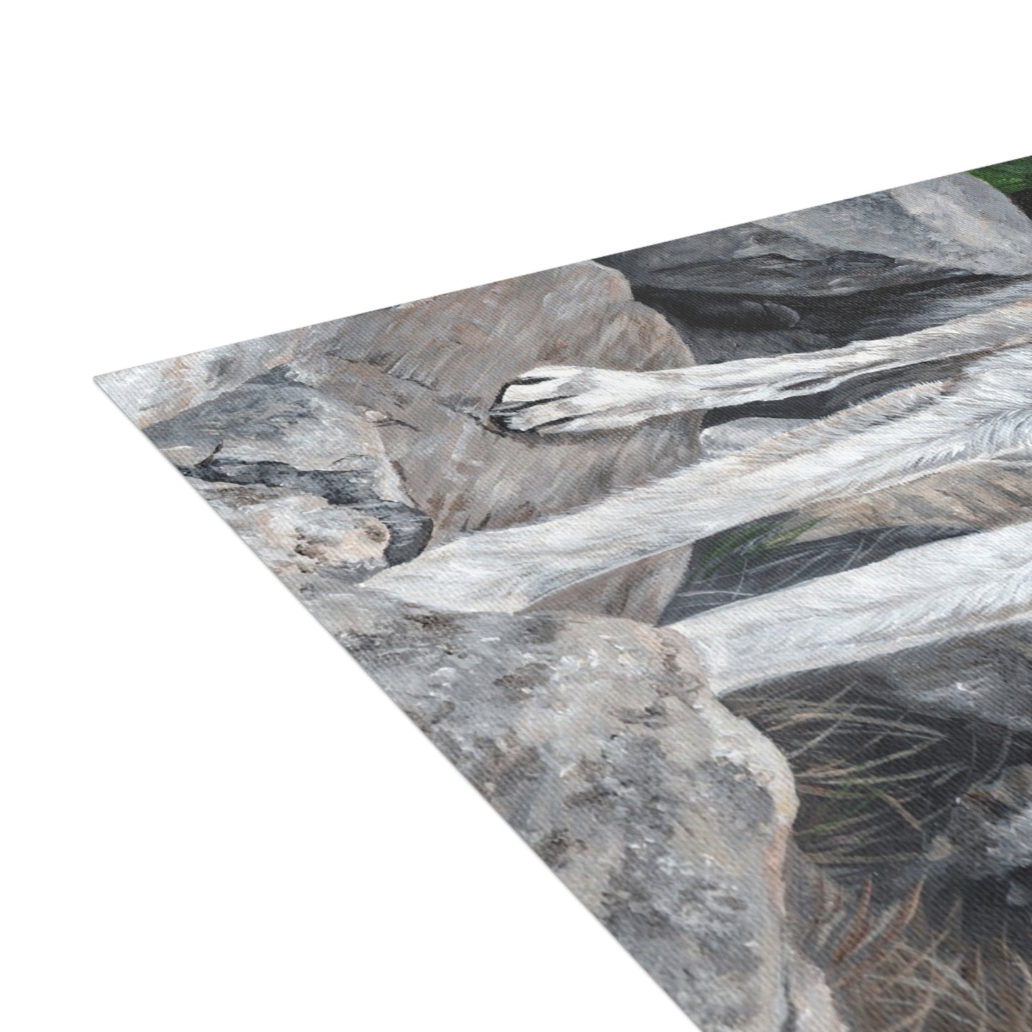 Wolf on Rocks Postcard Bundles (envelopes included)