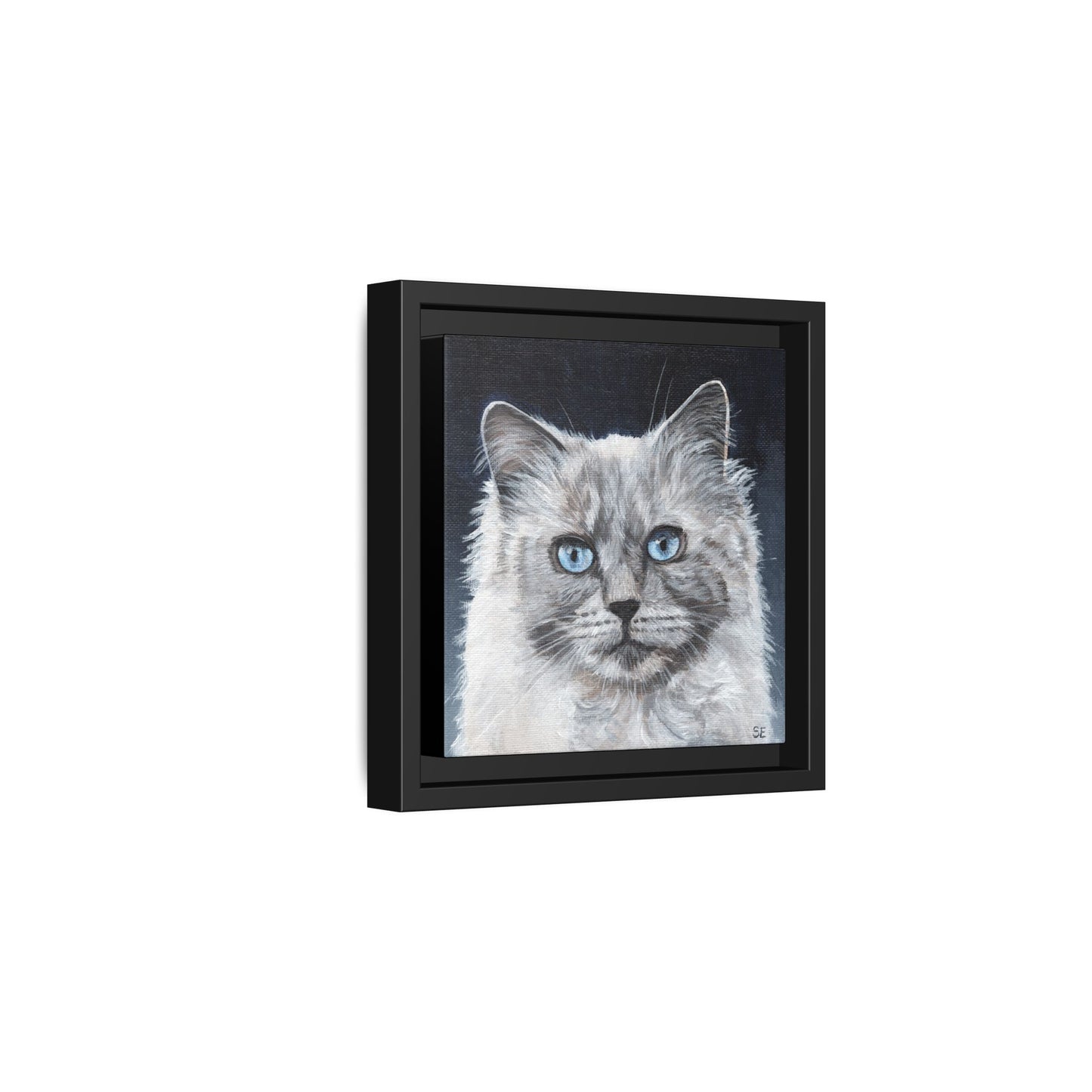Framed Matte Canvas – Blue-Eyed Ragdoll Cat Portrait