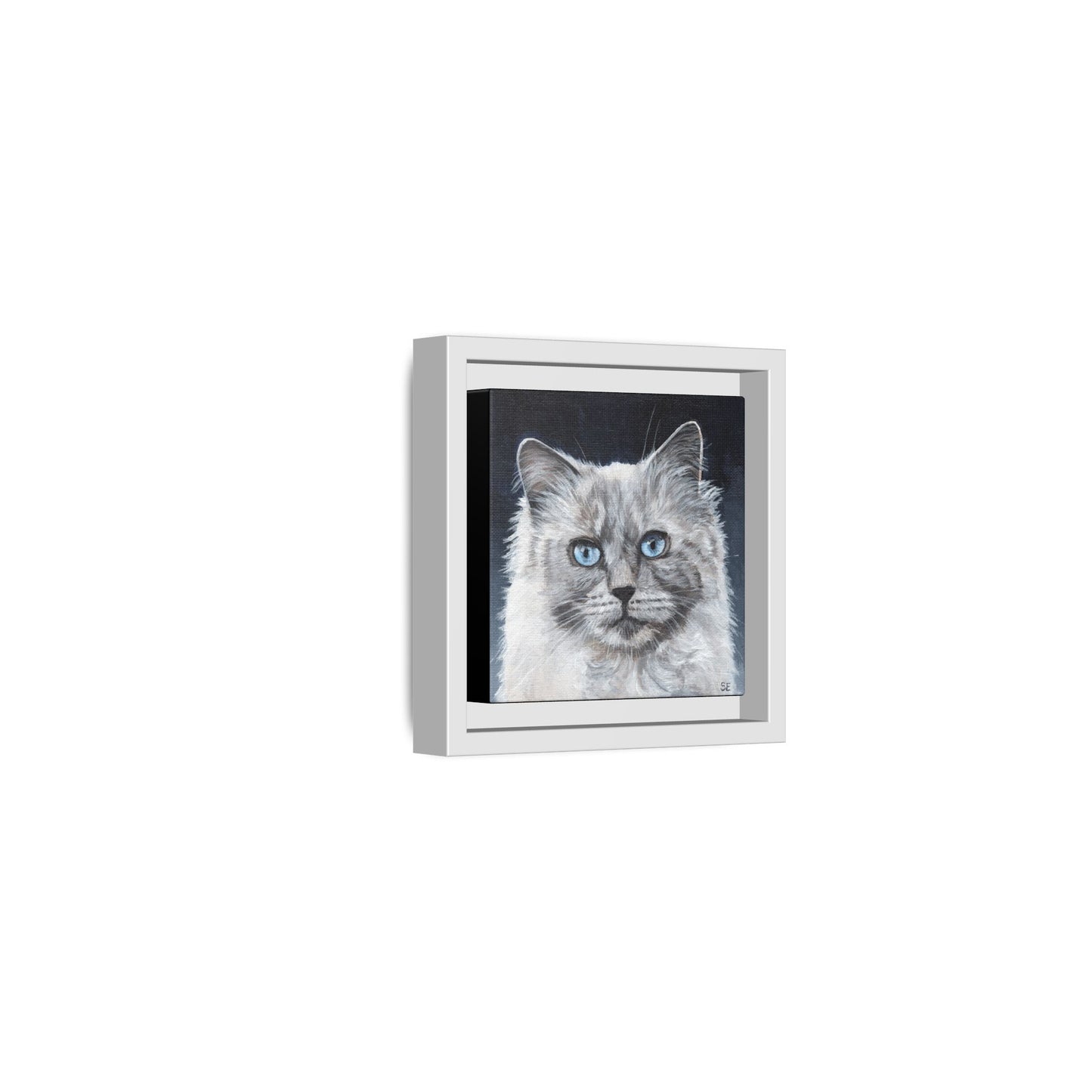 Framed Matte Canvas – Blue-Eyed Ragdoll Cat Portrait