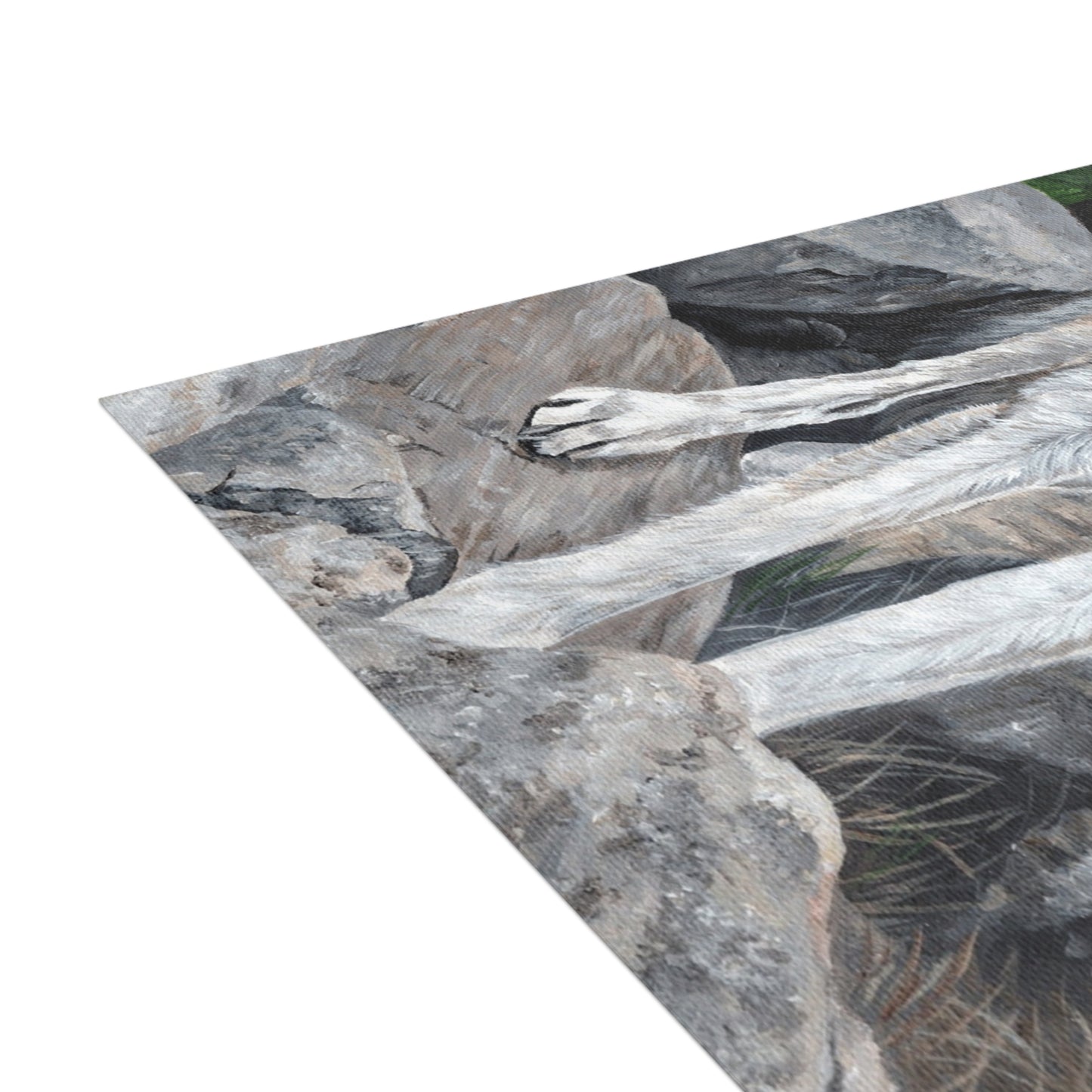 Wolf on Rocks Postcard Bundles (envelopes included)