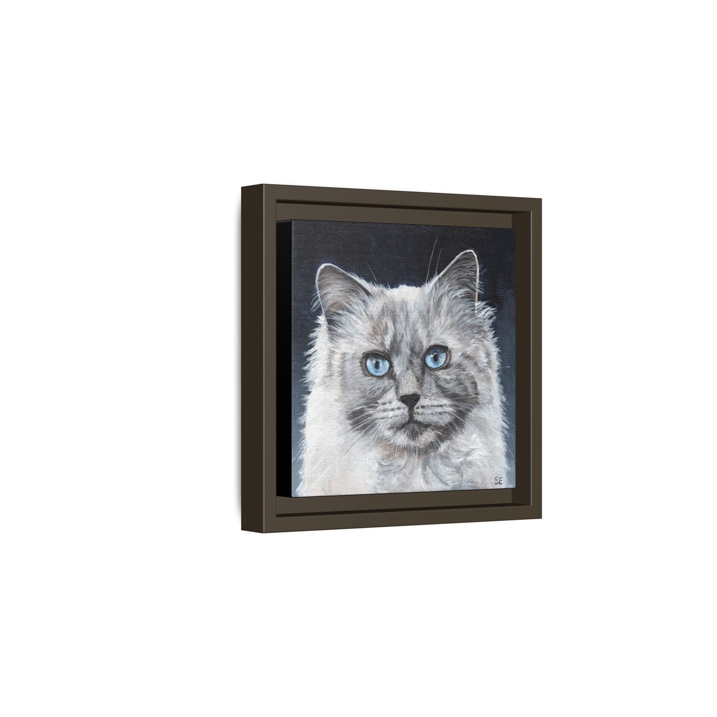 Framed Matte Canvas – Blue-Eyed Ragdoll Cat Portrait