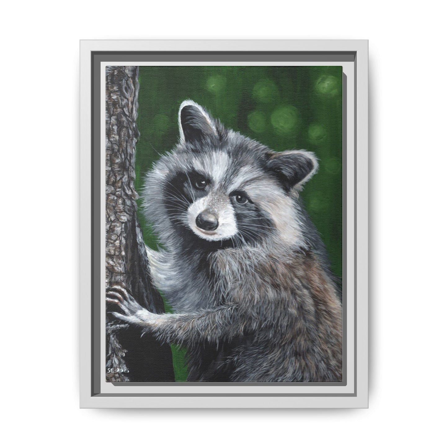 Framed Raccoon Canvas Art Print – Woodland Wildlife Wall Decor