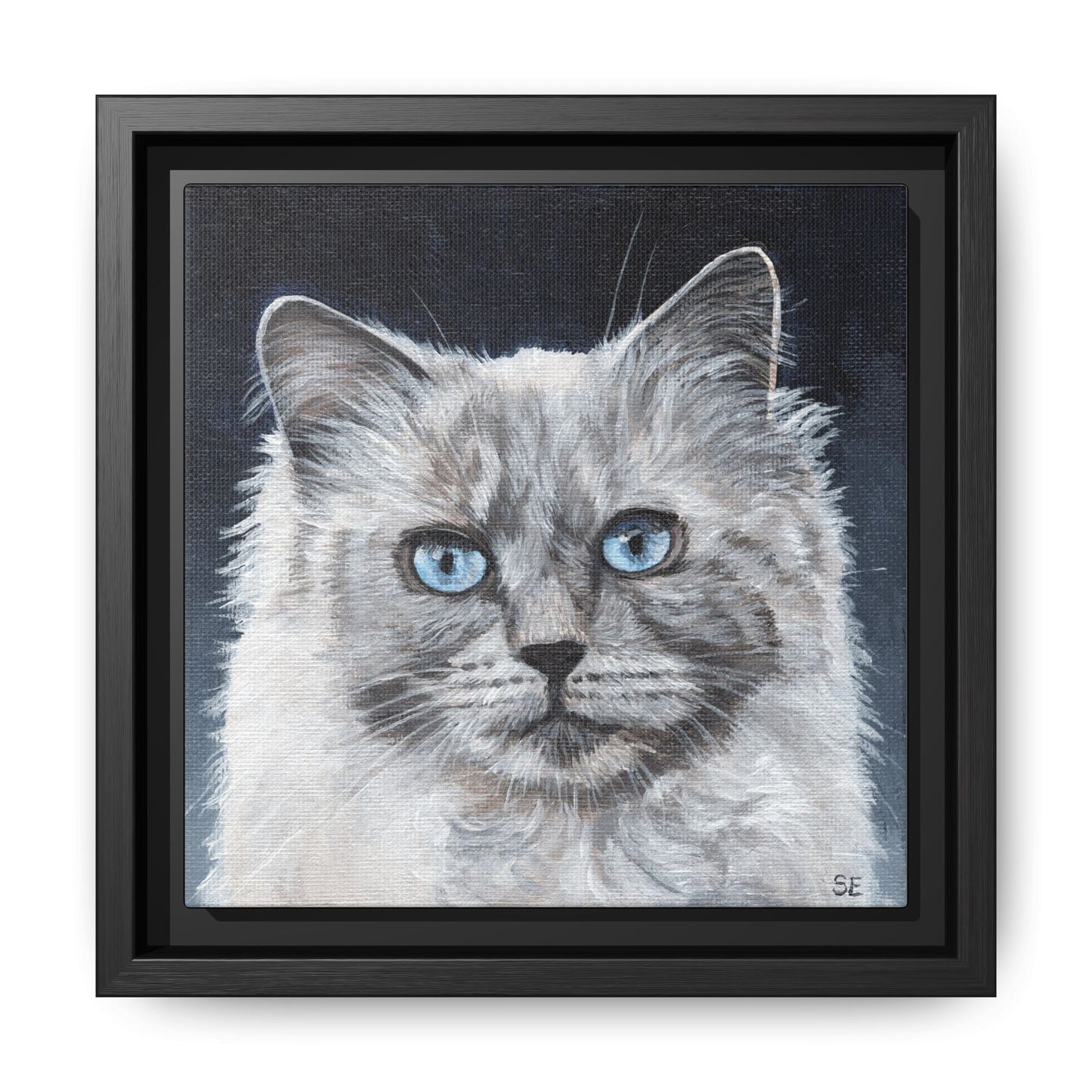Framed Matte Canvas – Blue-Eyed Ragdoll Cat Portrait
