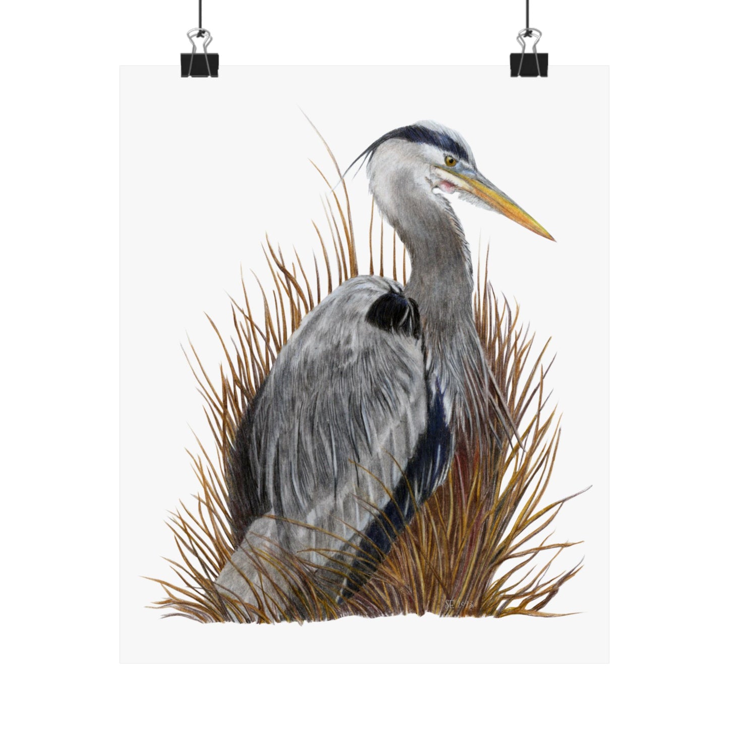 Great Blue Heron Matte Vertical Posters