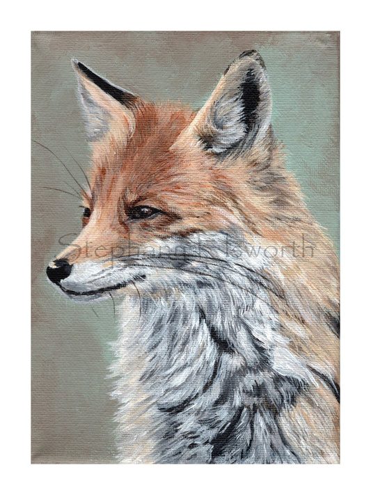 Fox Portrait 6 x 8 inch Giclee Print