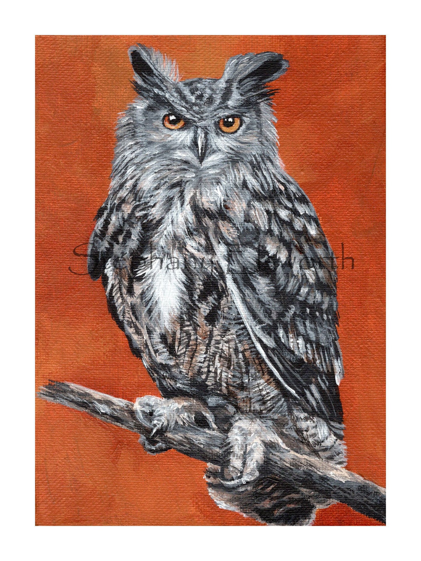 6 x 8 Inch Great Horned Owl Giclee Fine Art Print