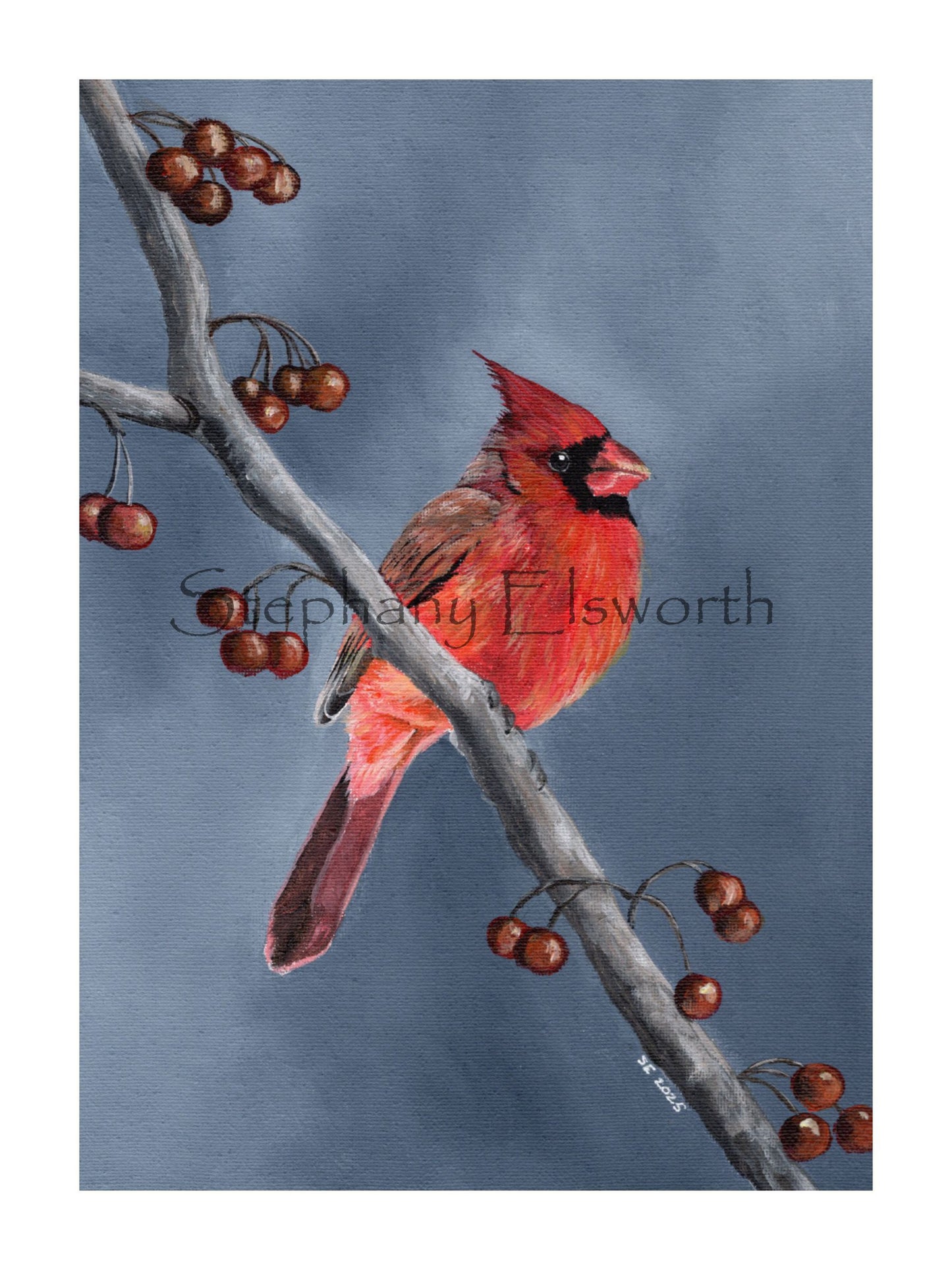 Cardinal Giclee Fine Art Print