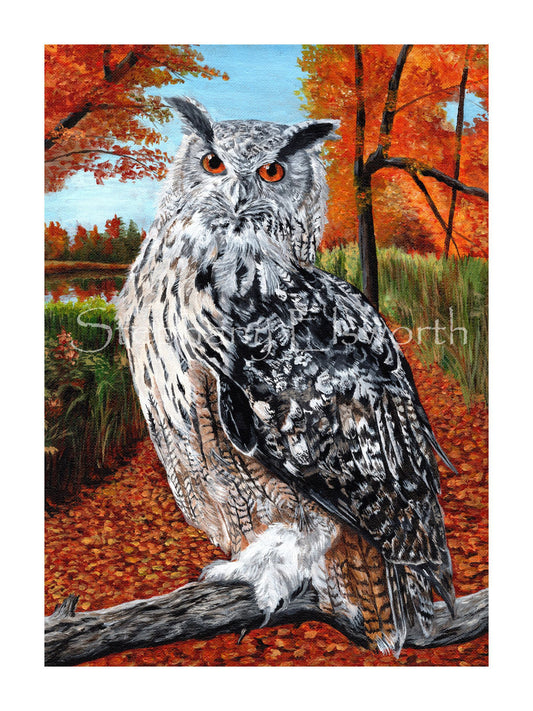 Owl in Autumn Forest Fine Art Giclee Prints