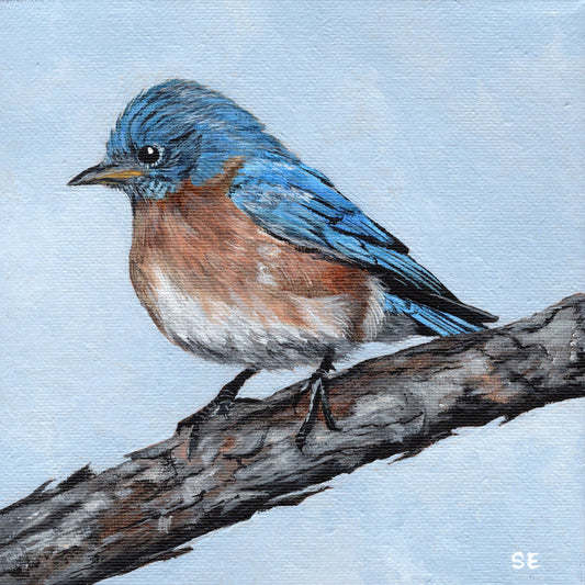 Bluebird 6 x 6 Original Acrylic Painting
