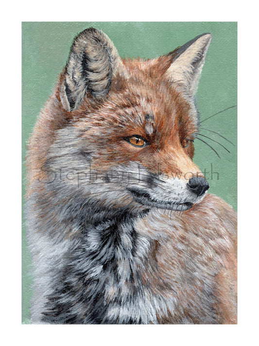 Fox Portrait on Green 6 x 8 inch Giclee Print