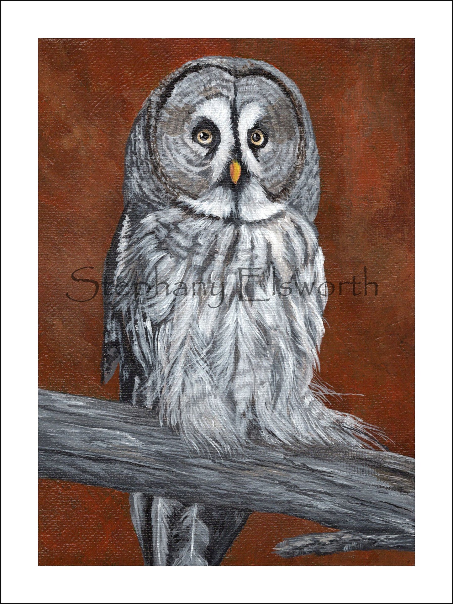 6 x 8 Inch Great Gray Owl Giclee Fine Art Print