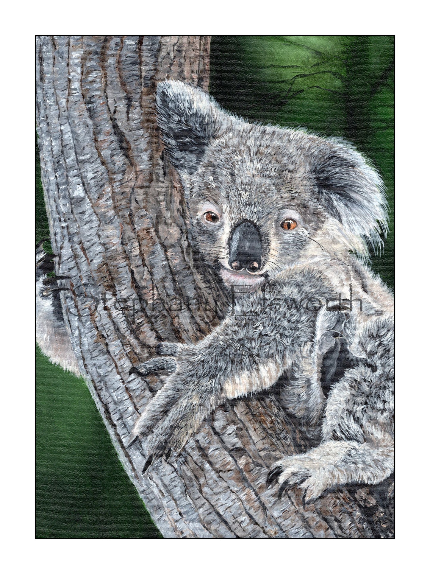 Koala Giclee Fine Art Print