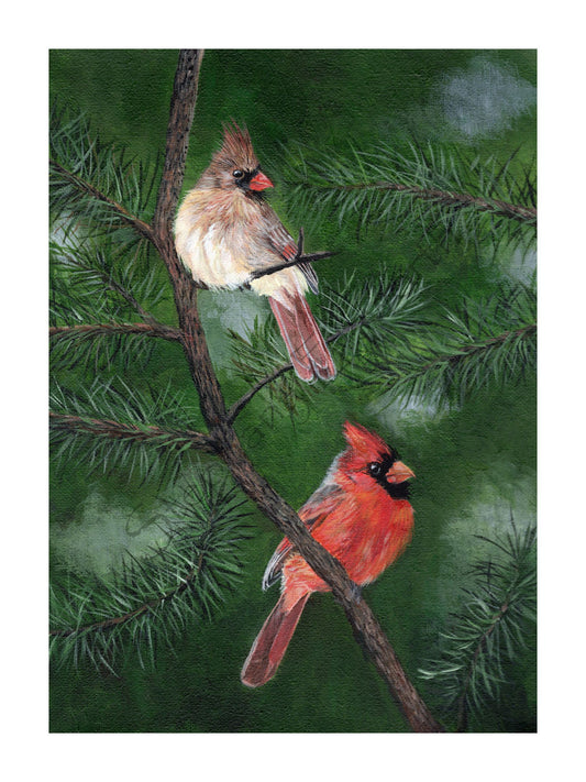 Cardinals in Pine Giclee Print