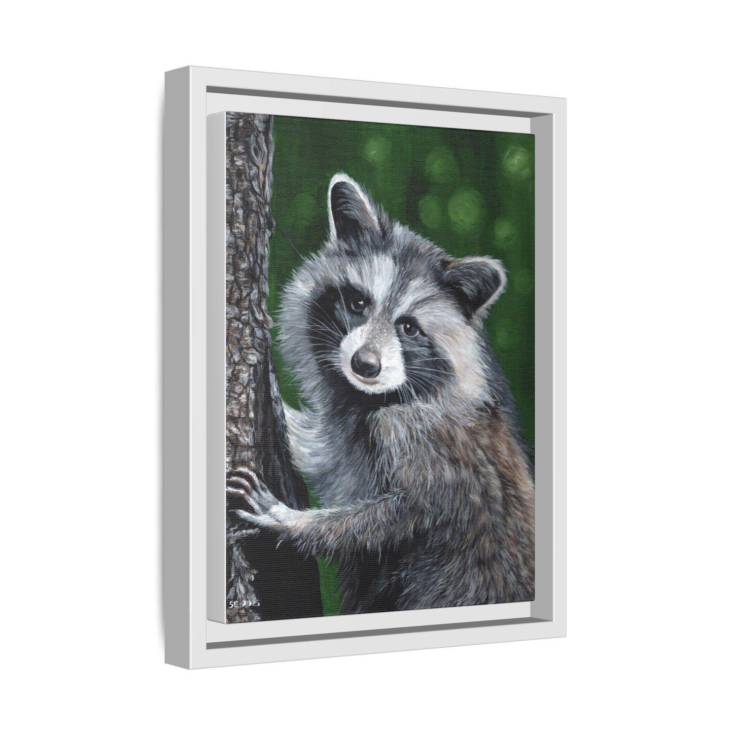 Framed Raccoon Canvas Art Print – Woodland Wildlife Wall Decor