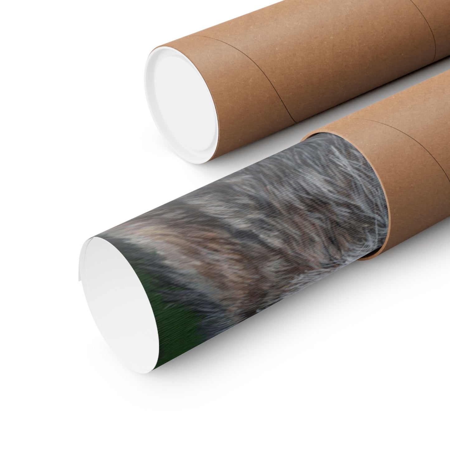 Raccoon Forest Matte Poster — Vertical Wildlife Wall Art