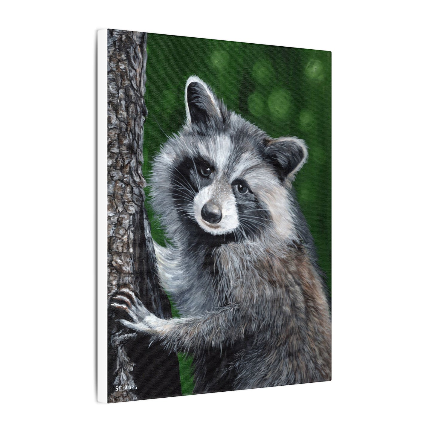 Raccoon Portrait Canvas Wall Art — Cute Forest Animal Painting