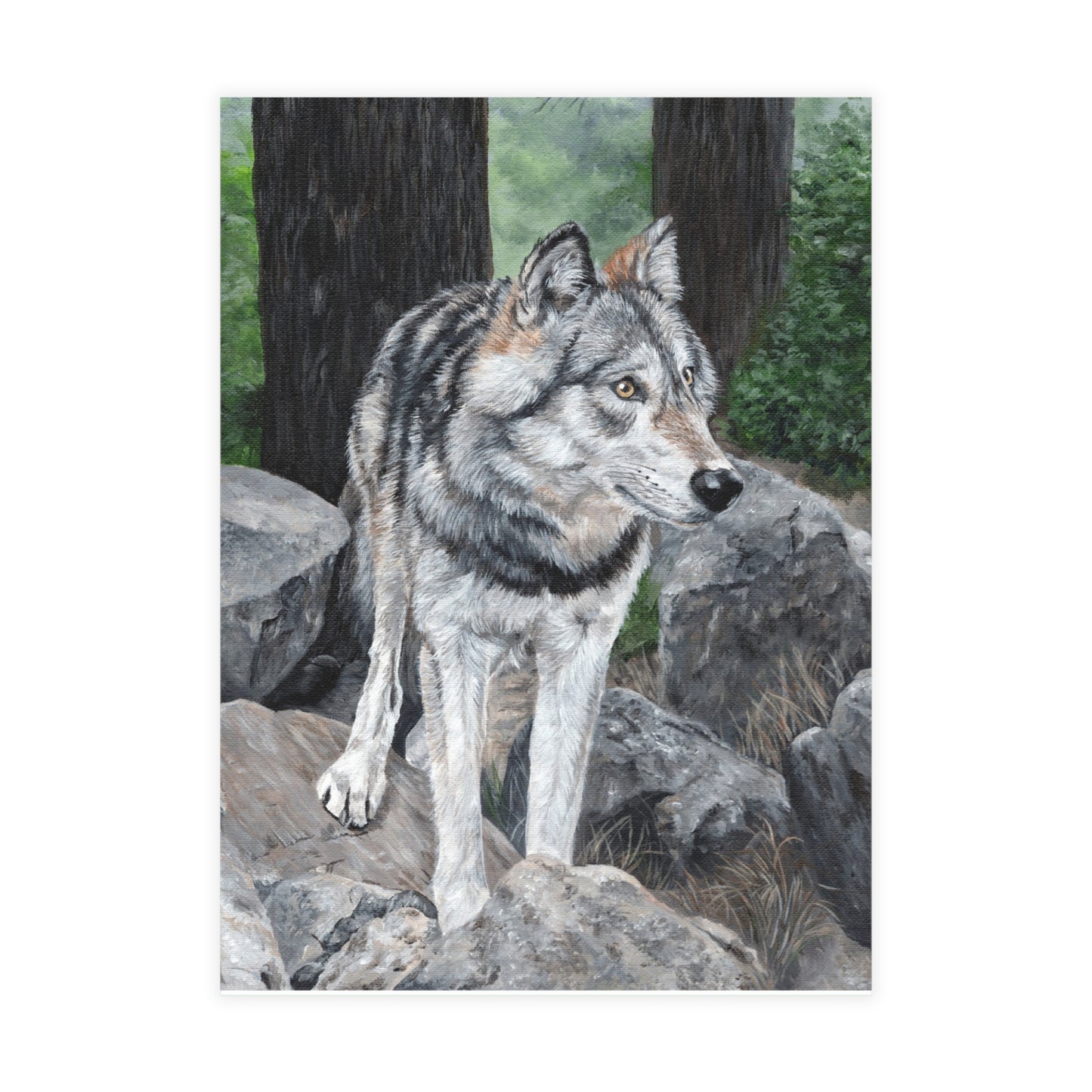 Wolf on Rocks Postcard Bundles (envelopes included)