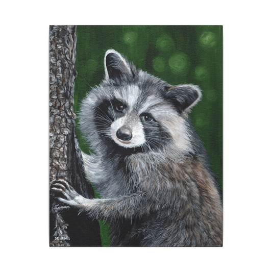 Raccoon Portrait Canvas Wall Art — Cute Forest Animal Painting
