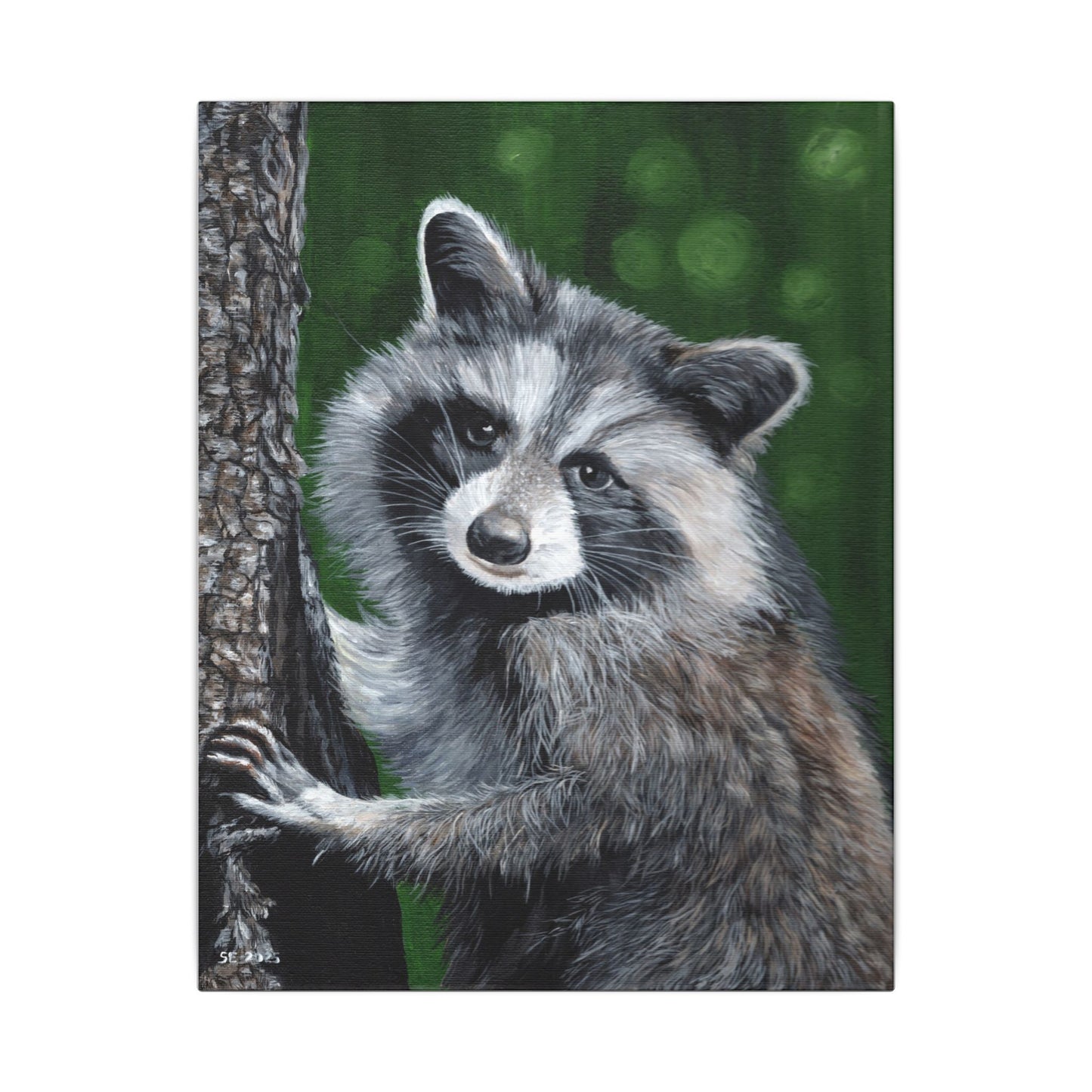 Raccoon Portrait Canvas Wall Art — Cute Forest Animal Painting