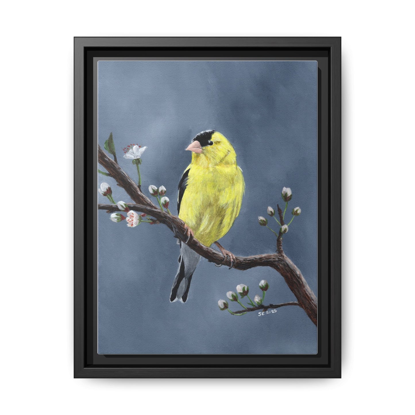 Framed Canvas Print — Yellow Finch on Branch Wall Art