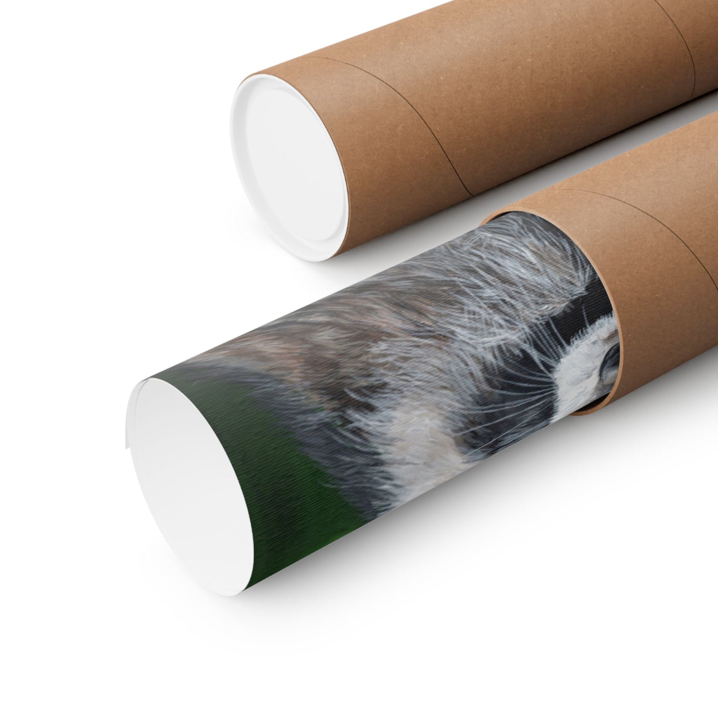 Raccoon Forest Matte Poster — Vertical Wildlife Wall Art