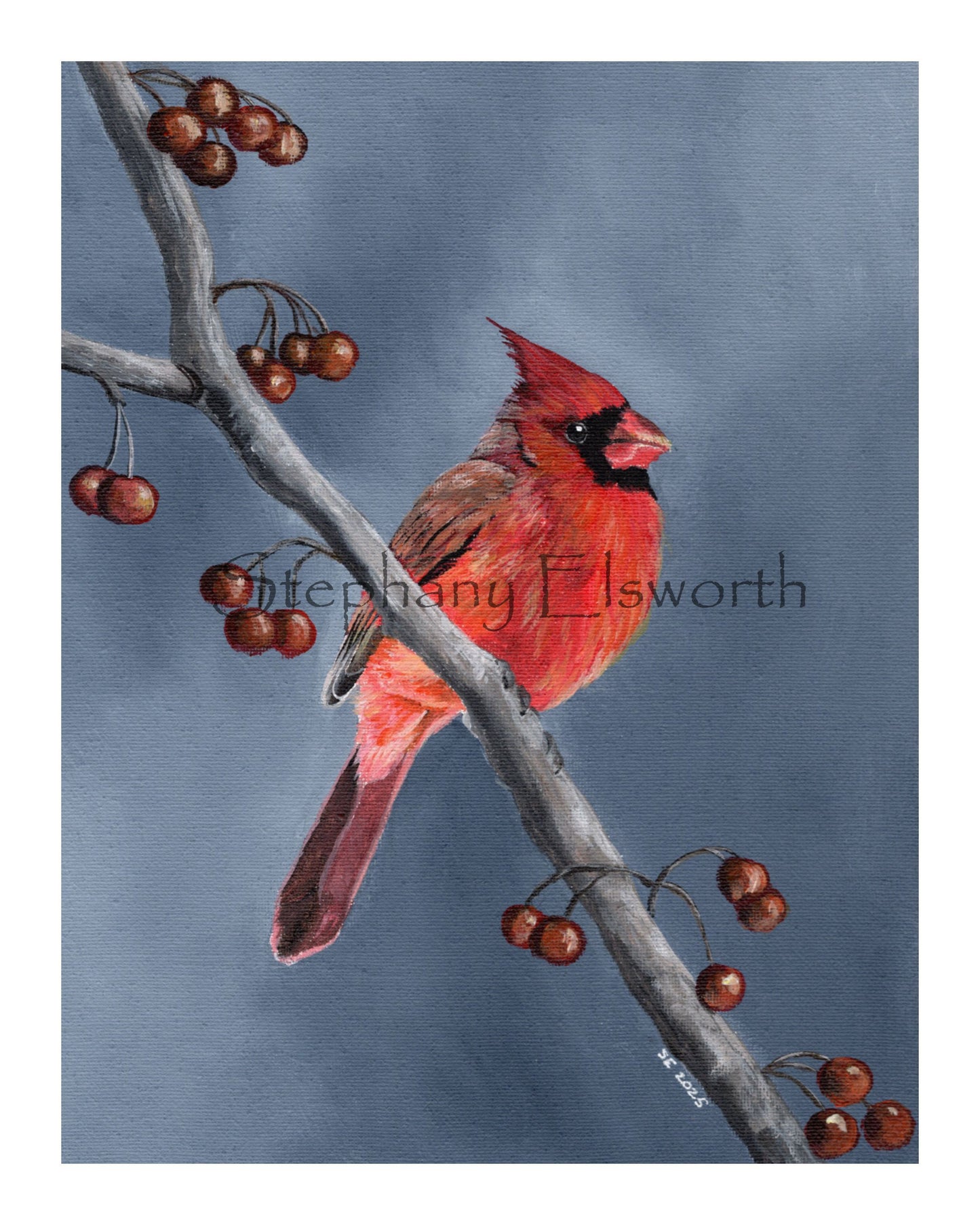 Cardinal Giclee Fine Art Print