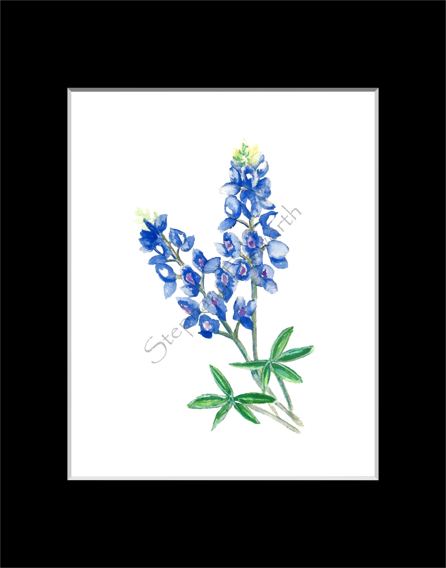 Watercolor Bluebonnets Printable Digital Download JPG Wall Art Set