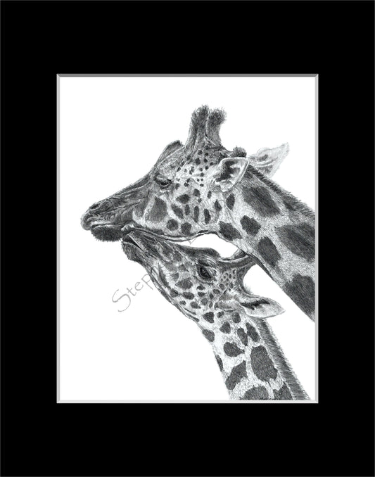 Giraffes 8 x 10 Original Graphite Pencil Drawing