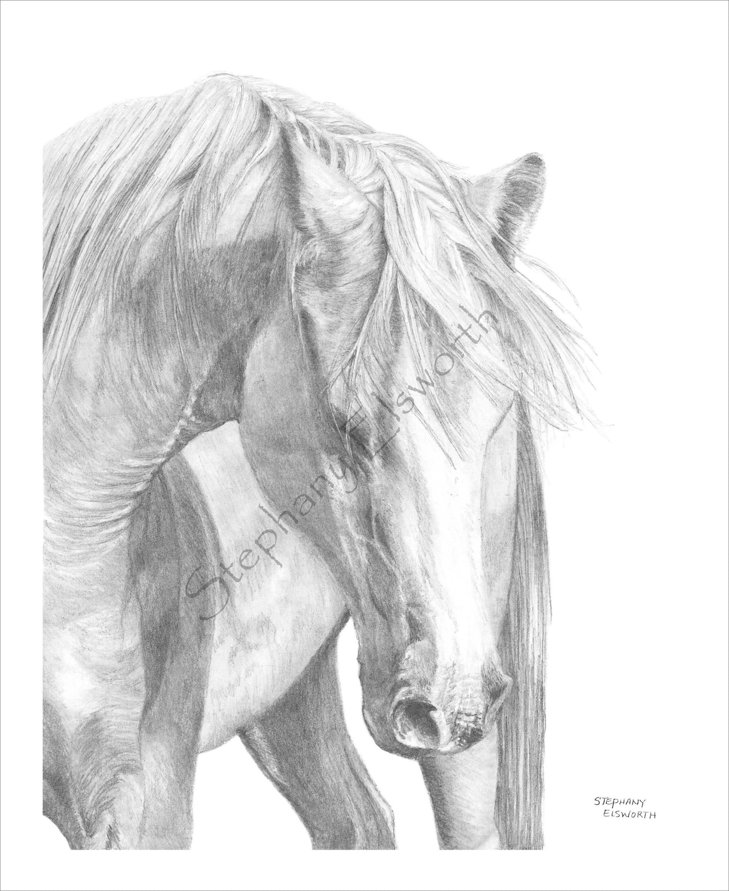 Bowing Horse 8 x 10 Original Graphite Pencil Drawing