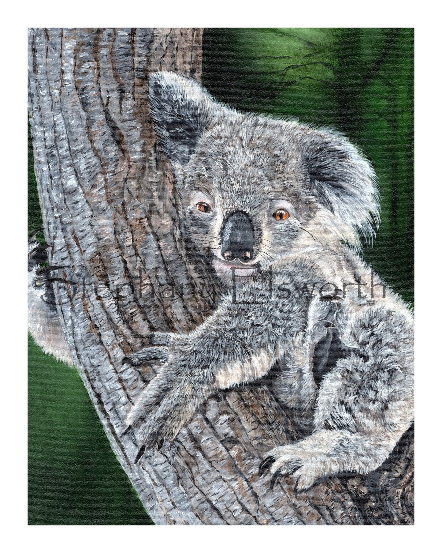 Koala Giclee Fine Art Print