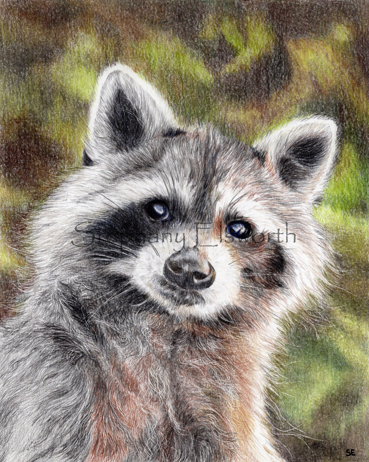 Trash Panda Colored Pencil Drawing Digital Download