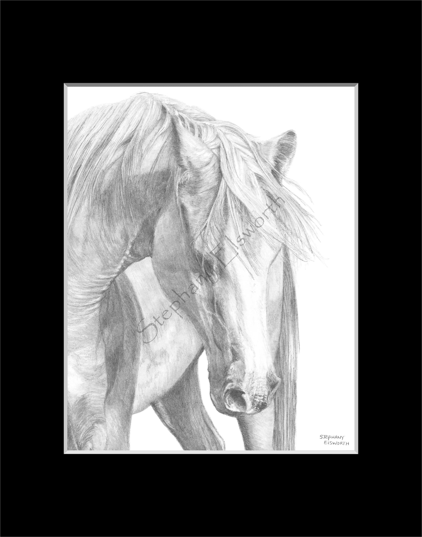 Bowing Horse 8 x 10 Original Graphite Pencil Drawing in 11 x 14 Black Mat