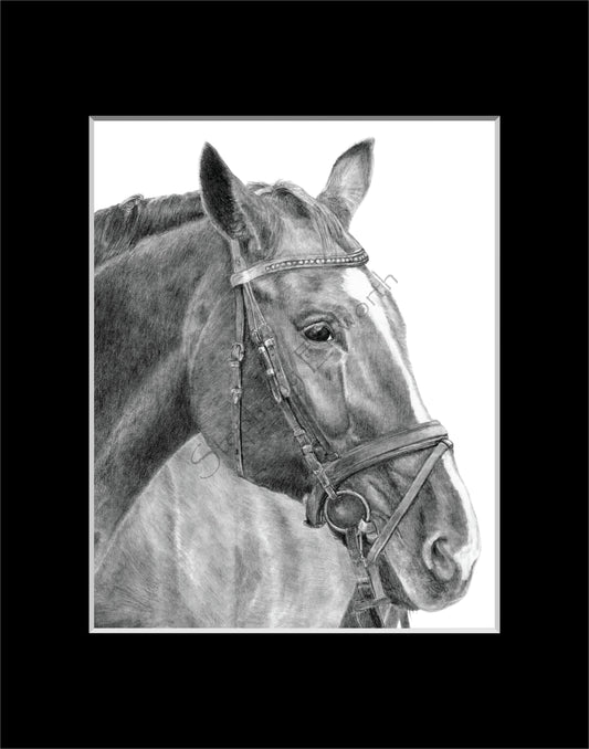 Horse 8 x 10 Original Graphite Pencil Drawing in 11 x 14 black mat