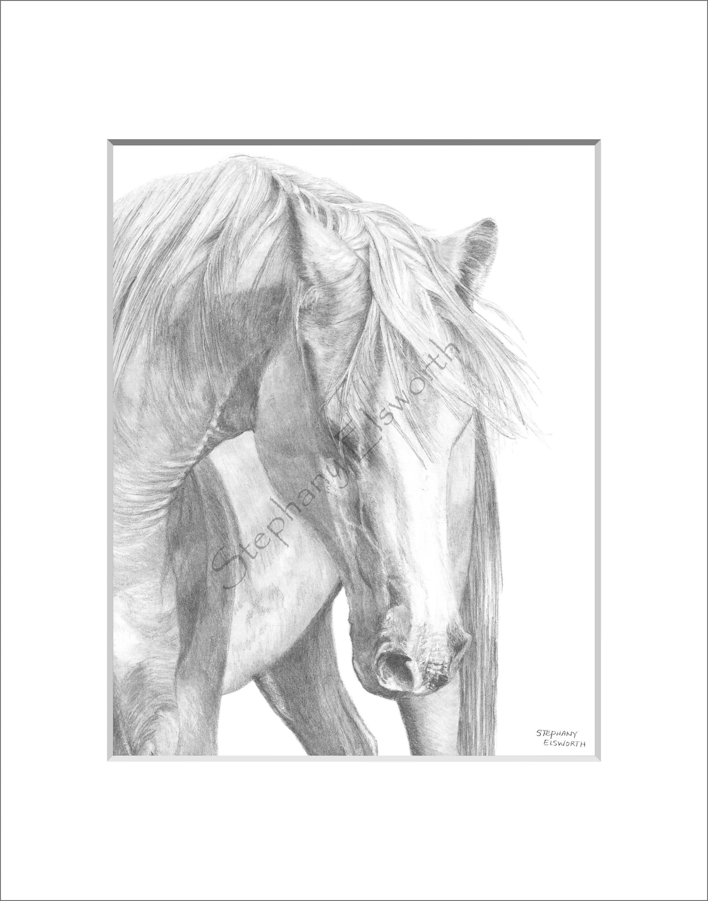 Bowing Horse 8 x 10 Original Graphite Pencil Drawing