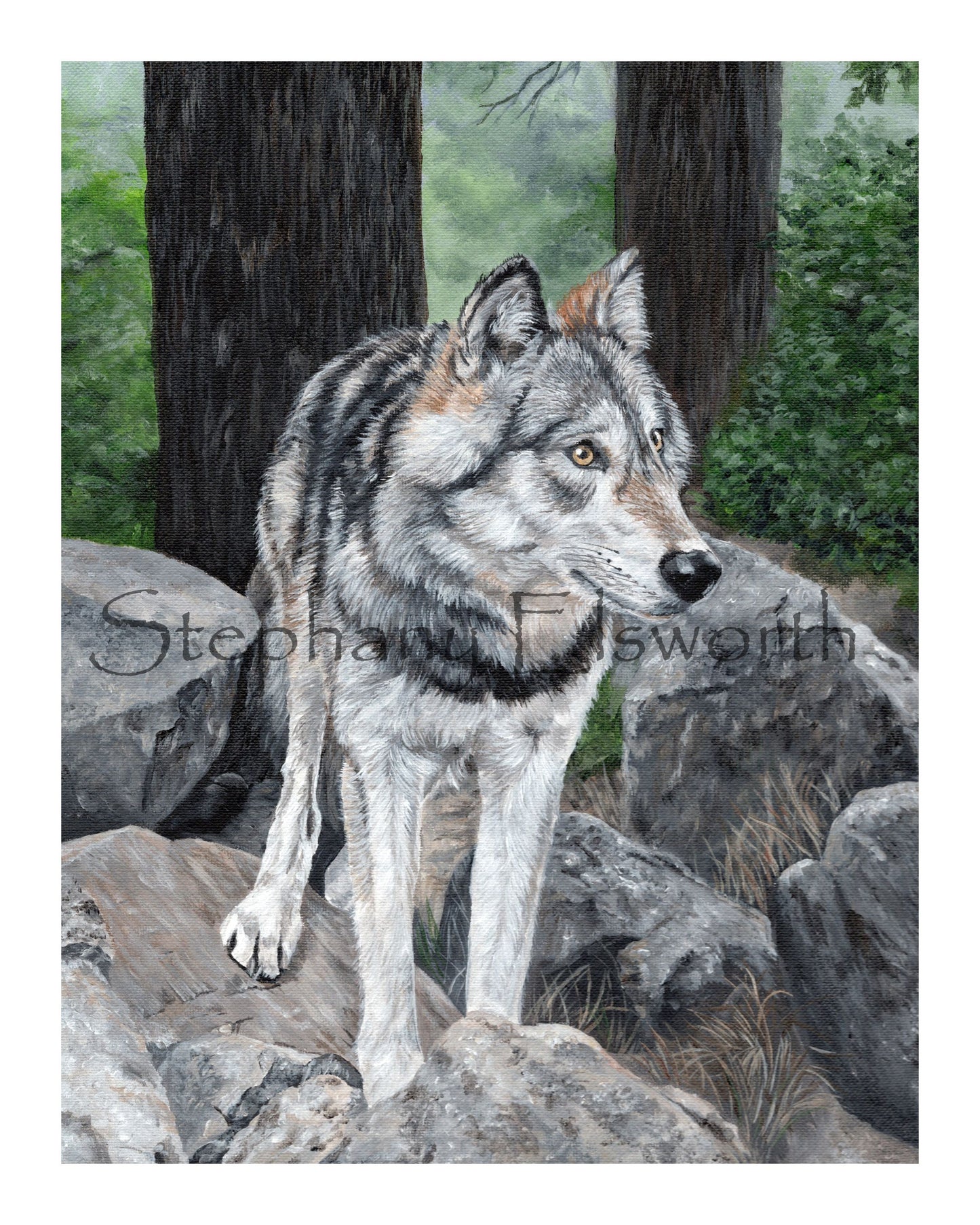 Wolf on Rocks Giclee Fine Art Print