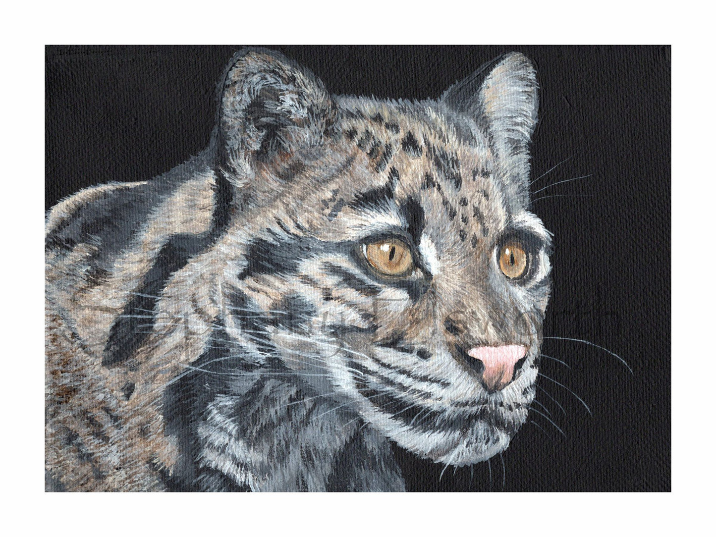 Clouded Leopard Portrait 8 x 6 inch Giclee Fine Art Print
