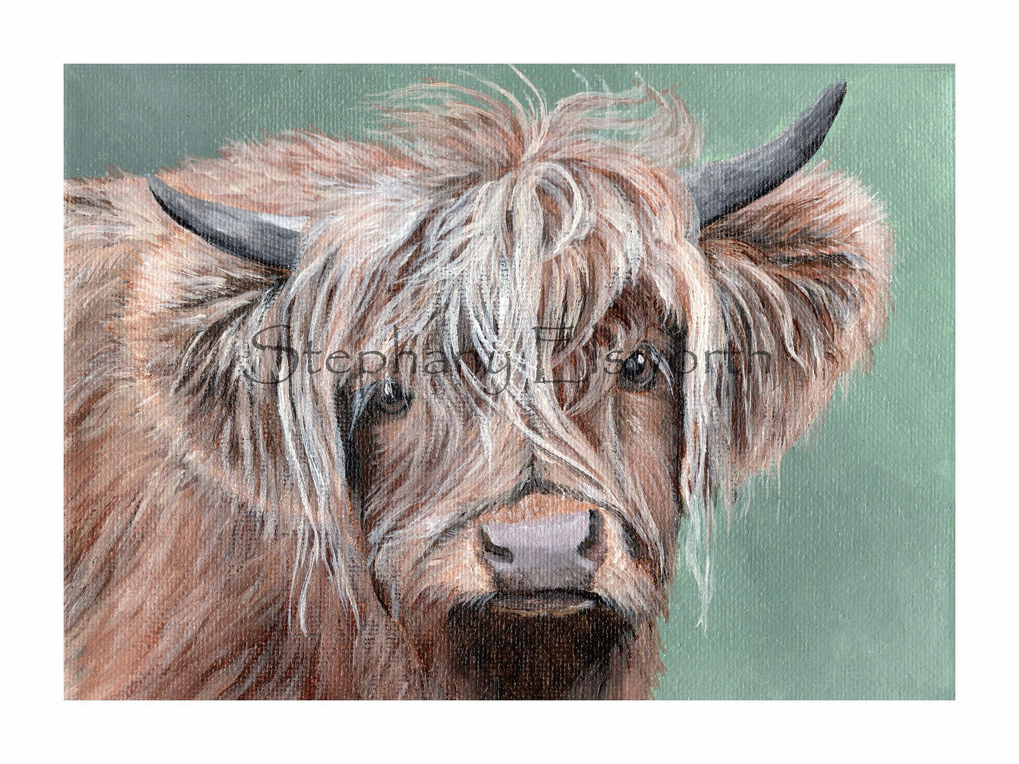 8 x 6 Inch Scottish Highland Cow on Green Giclee Fine Art Print